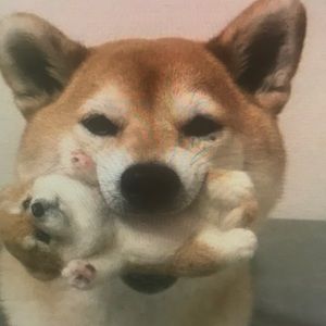 Meet your Posher, Marcus